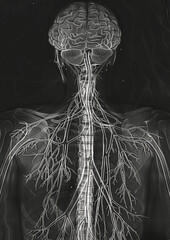 X-ray image of the human body. Aesthetics of  X-rays. Generative AI - 783730575