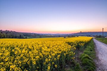 Landscape at sunrise. Beautiful morning landscape with fresh yellow rapeseed fields in spring. Small castle in the yellow fields on a hill. Historic Ronneburg Castle, Ronneburg, Hesse, Germany - obrazy, fototapety, plakaty