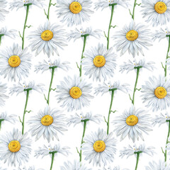 Fototapeta premium Seamless pattern of Hand Drawn watercolor floral plants camomile flowers. herb flowers daisy. Botanical greenery chamomile flower illustration. On white background. For fabric, wallpaper, wrapping
