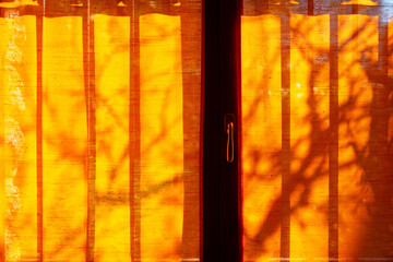 Shadow of the tree on the window in the morning. Abstract background with lights