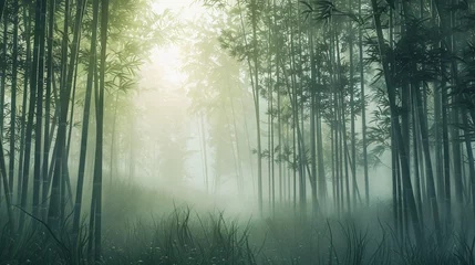 Foto op Plexiglas A serene bamboo forest © Alizeh