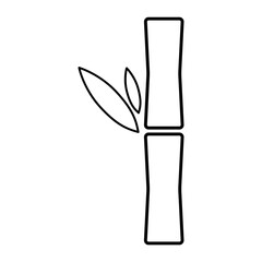 Bamboo leaf icon, nature tropical symbol design, web sign vector illustration