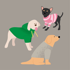 illustration of 3 dogs wearing clothes