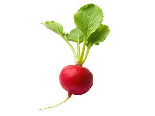 Fresh red beet png isolated on transparent background