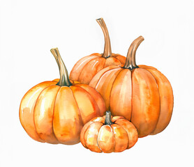 Fototapeta premium Watercolor Pumpkins composition. Fall harvest illustration isolated on a white background