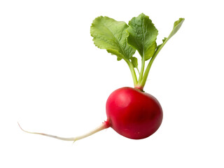 Fresh red beet png isolated on transparent background