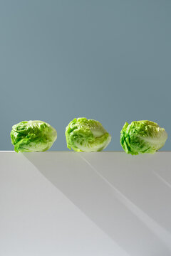 Tres corazones de lechuga fresca para ensalada sobre un soporte blanco y fondo verde	
