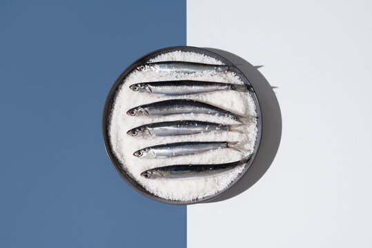 Anchoas frescas dentro de un plato lleno de sal sobre fondo azul y blanco. Vista superior	