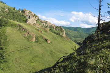 Naklejka premium A path among the forested hills on a sunny day
