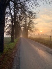 Fototapeta premium sunset on the road