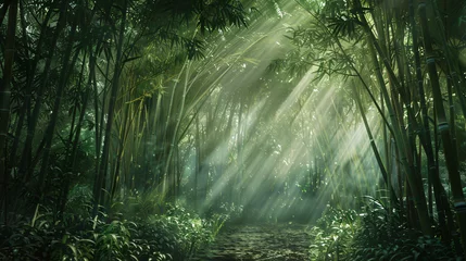 Schilderijen op glas Bamboo forest setting © Alizeh