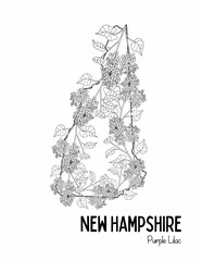 State Coloring Page, New Hampshire coloring page, Flowers, State Flower, State, USA Coloring Page - obrazy, fototapety, plakaty