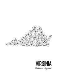 State Coloring Page, Virginia coloring page, Flowers, State Flower, State, USA Coloring Page