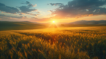 field of tall grass with a bright sun shining through the clouds - Powered by Adobe