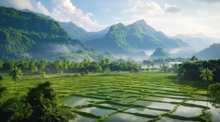 Fotobehang Indonesian Rice Terraces: Mountainside Agriculture and Rural Landscape © Natalia Schuchardt