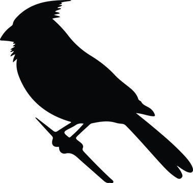 northern cardinal silhouette