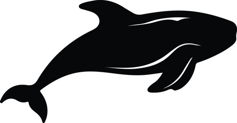 Obraz premium northern right whale silhouette