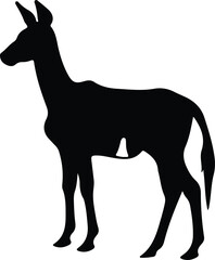 Fototapeta premium okapi silhouette