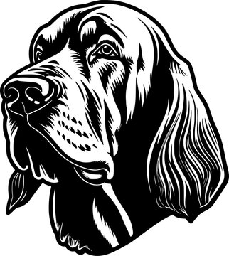recommend clip art: Bloodhound - High Quality Vector Logo - Vector illustration ideal for T-shirt graphic