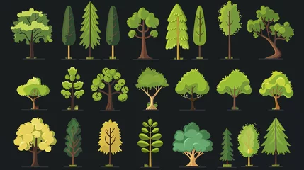 Poster A collection of trees in various sizes and colors. The trees are arranged in a row, with some taller and some shorter. Scene is peaceful and serene, as the trees are depicted in a natural setting © jiraphat