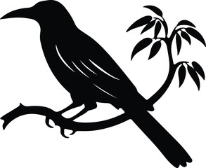 Naklejka premium oropendola silhouette