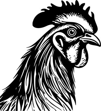 recommend clip art: Rooster - Black and White Isolated Icon - Vector illustration