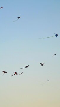 Different kites are flying in the sky. Vertical video.