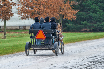 Amish boys on pony cart