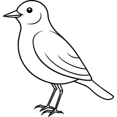    Bird vector illustration.
