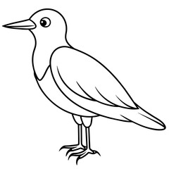    Bird vector illustration.
