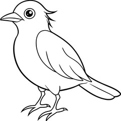    Bird vector illustration.
