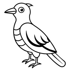    Bird vector illustration.
