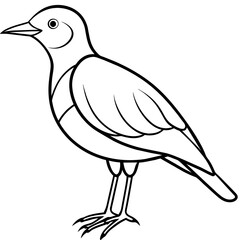 Obraz premium Bird vector illustration. 