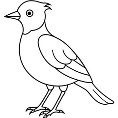    Bird vector illustration.
