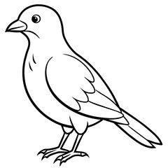    Bird vector illustration.
