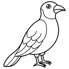    Bird vector illustration.
