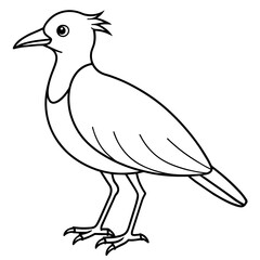    Bird vector illustration.
