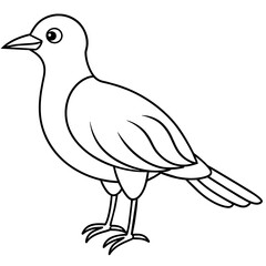    Bird vector illustration.
