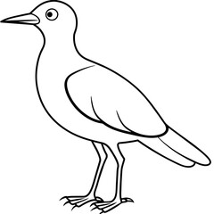    Bird vector illustration.
