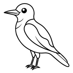    Bird vector illustration.
