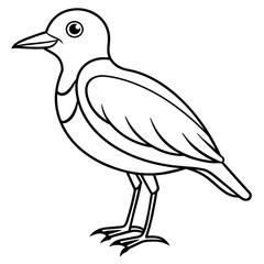    Bird vector illustration.

