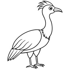    Bird vector illustration.
