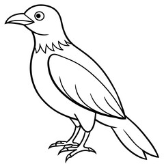 Obraz premium Bird vector illustration. 