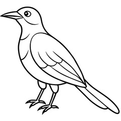    Bird vector illustration.
