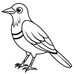  Bird vector illustration.

