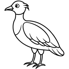  Bird vector illustration.

