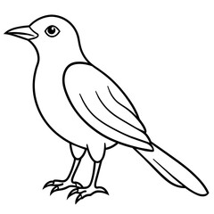  Bird vector illustration.

