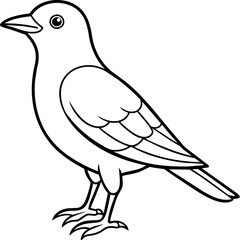 Obraz premium Bird vector illustration.