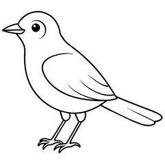 Fototapeta premium Bird vector illustration.