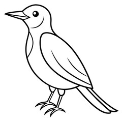  Bird vector illustration.

